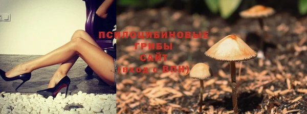 крисы Гусь-Хрустальный