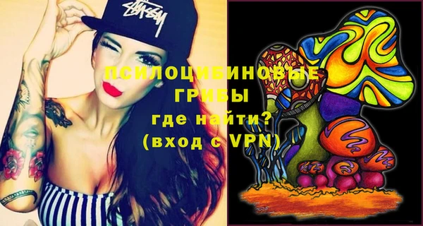крисы Гусь-Хрустальный