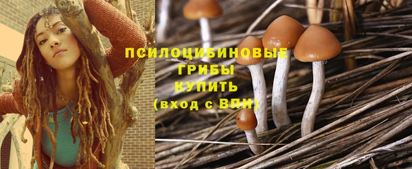 jwh Гусиноозёрск