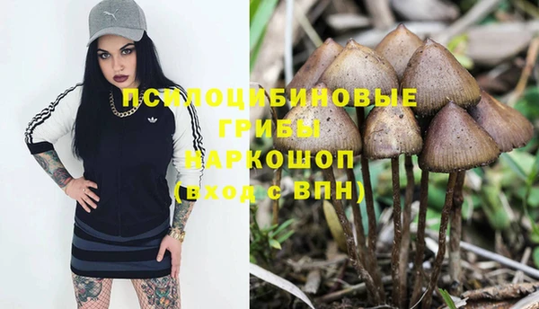 синтетический гашиш Гусев